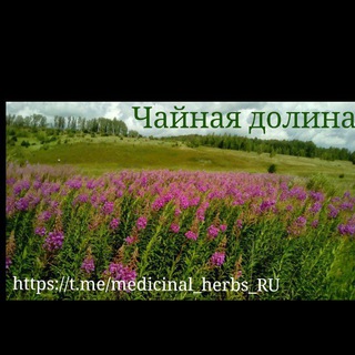 Telegram profile photo for Лечебные травы