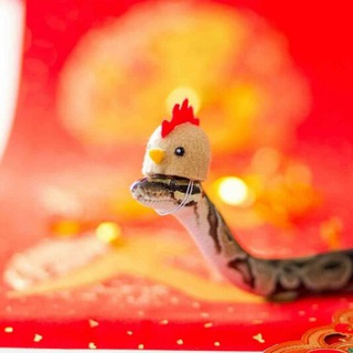 Telegram profile photo for snake's snakes and others