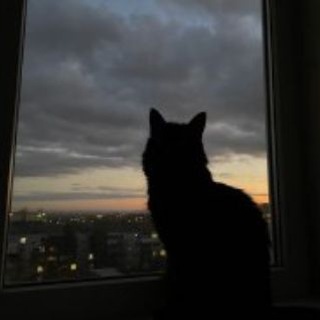 Telegram profile photo for روابط كروبات