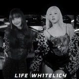 Telegram profile photo for LIFE WHITELICY