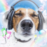 Telegram profile photo for 𝚜𝚞𝚐𝚎𝚖𝚘