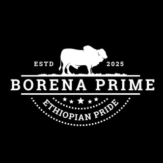 Telegram profile photo for Borena Prime