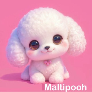 Telegram profile photo for Maltipooh