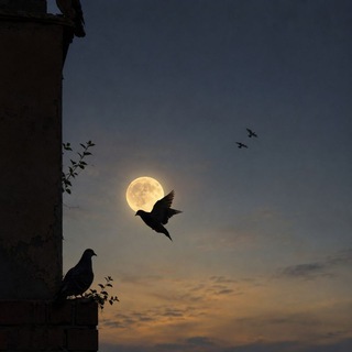 Telegram profile photo for أَطلِقْ جَناحِي 🕊