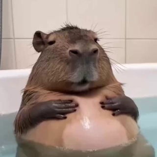Telegram group profile photo for Замок не лудит Chat