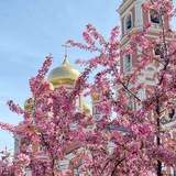 Telegram profile photo for Покровский Собор
