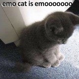 Telegram profile photo for моя няшечка вкусняшечка