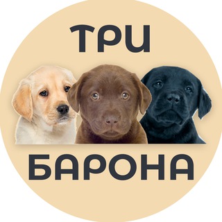 Telegram profile photo for Проект "Три Барона"