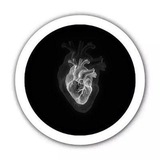 Telegram profile photo for ๐บ๐๐๐๐๐๐๐๐ ๐๐๐๐๐๐ซ