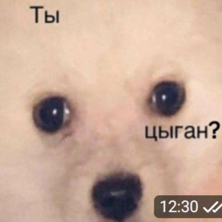 Telegram profile photo for Смешные стикеры бесплатно😎😉