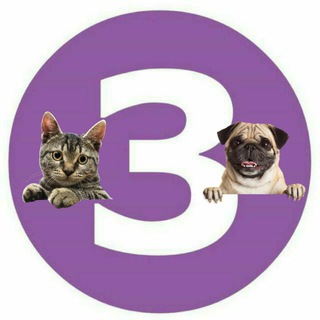 Telegram profile photo for Потеряшки. Это Запорожье.