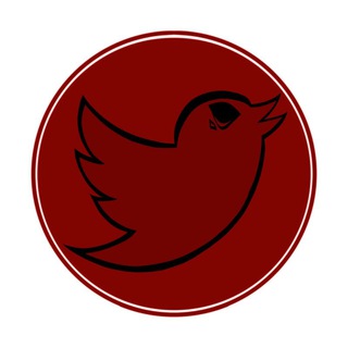 Telegram profile photo for : ๐ELL ๐๐๐๐๐๐๐๐ : twitter edition