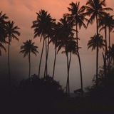 Telegram profile photo for Ummu Umayr (reserve)🌴