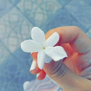 Telegram profile photo for ⇦؏ـآلـ↵ ـم⇠ګتګو۫ۧتهٰ̐ہ ̐”