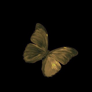 Telegram profile photo for فراشتي الجميله🦋