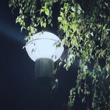 Telegram profile photo for Уᴦᴏᴧᴏᴋ ᴄᴨᴏᴋᴏйᴄᴛʙия🍃