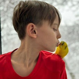 Telegram profile photo for Mark i Limon4ik