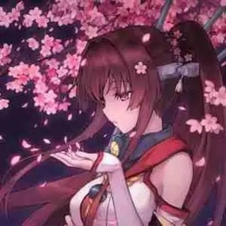 Telegram profile photo for 樱花导航