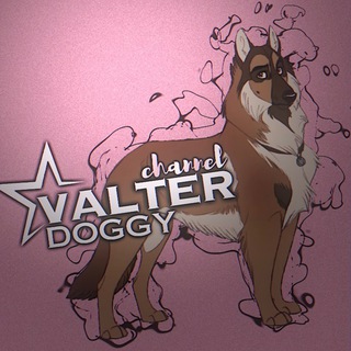 Telegram profile photo for 𝑽𝑨𝑳𝑻𝑬𝑹 𝑫𝑶𝑮𝑮𝒀