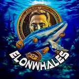 Telegram profile photo for ElonWhales BSC
