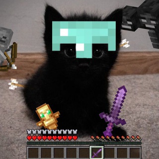 Telegram profile photo for 🐈⬛Кошачья территория🐈⬛