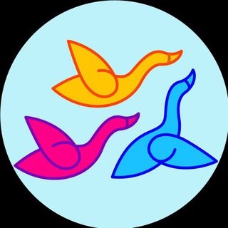 Telegram group profile photo for Вместе — Шри-Ланка