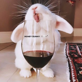 Telegram profile photo for ʜᴏɴᴇʏ ʙᴜɴɴʏ 🐰🤍~*