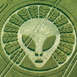 Telegram group profile photo for Kornkreise kommen jedes Jahr! Die Medien berichten kaum über dieses Mysterium...
