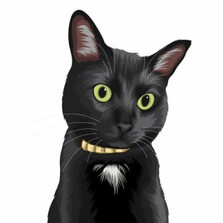 Telegram profile photo for Truth Kitty