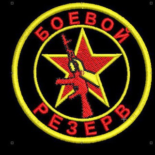 Telegram profile photo for Боевой резерв