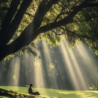 Telegram profile photo for «چالشهای فولدری»