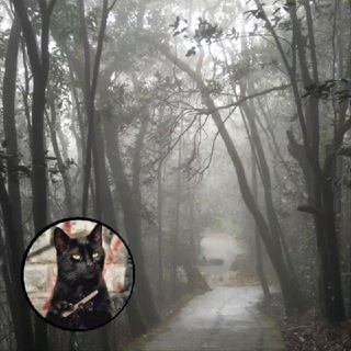 Telegram profile photo for SomeWhere NoOne (India now)
