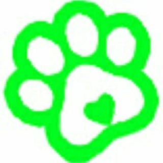 Telegram profile photo for КОШКИ В ДАР