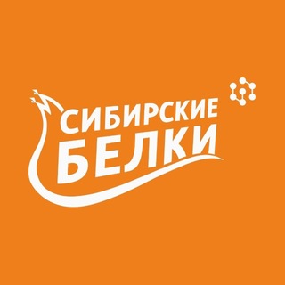 Telegram profile photo for ССК «Сибирские белки»
