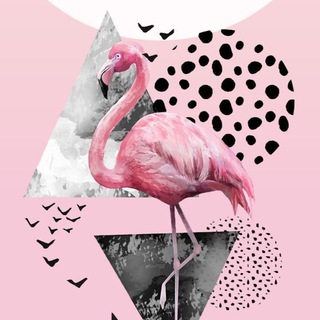Telegram profile photo for Flamingo 🤍.