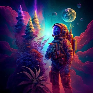 Telegram profile photo for Arsh's vouches