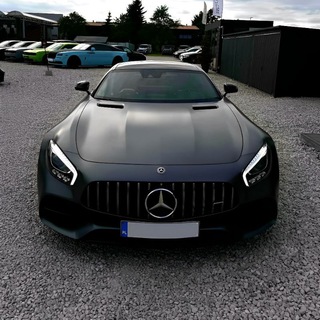 Telegram profile photo for sashair