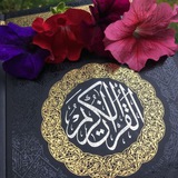 Telegram profile photo for تفسِـــیر و بیـانِ قــرآن
