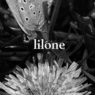 Telegram profile photo for Lilone