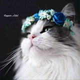 Telegram profile photo for هيامي. 💙