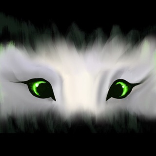 Telegram profile photo for Логово полярного