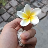 Telegram profile photo for Myat Poem & Sarto for you