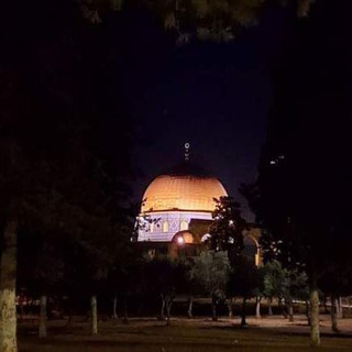 Telegram profile photo for 🌹🌹عشقی🌹القدس 🌹🌹
