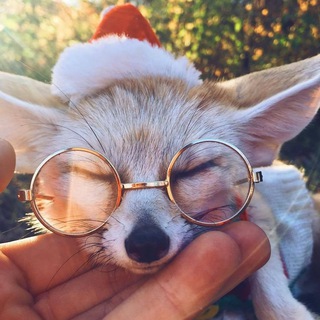 Telegram profile photo for Учусь рисовать 16+