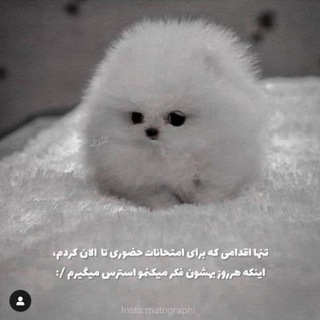 Telegram group profile photo for اشتراک گذاری سوالات امتحانات دانشگاه تهران مرکز