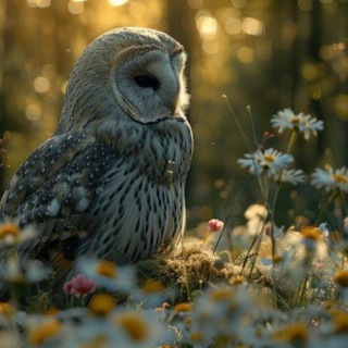 Telegram profile photo for лᴇниʙᴀя ᴄᴏʙᴀ||ᴏnlinᴇ