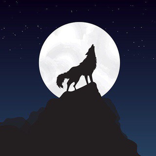 Telegram profile photo for sʜɪsʜᴀɴ
