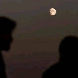 Telegram profile photo for المُلتقى.