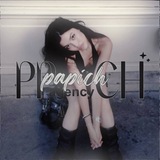 Telegram profile photo for Papich agency