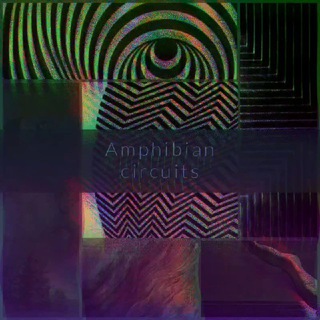 Telegram profile photo for Amphibian